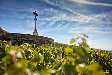 Louis Latour, Bourgogne